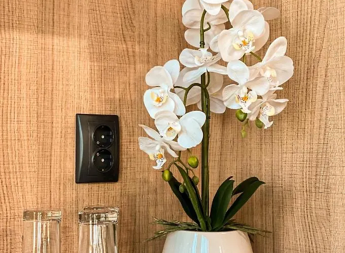 Hotell атрим арена *