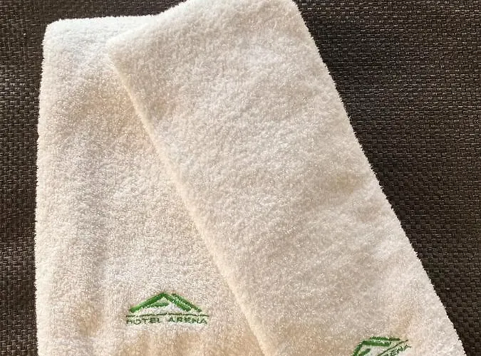 атрим арена Hotell *