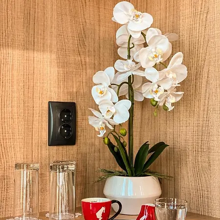 Hotel атрим арена *