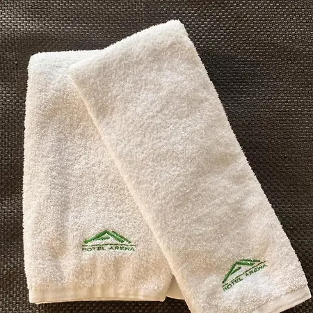 атрим арена Hotel *